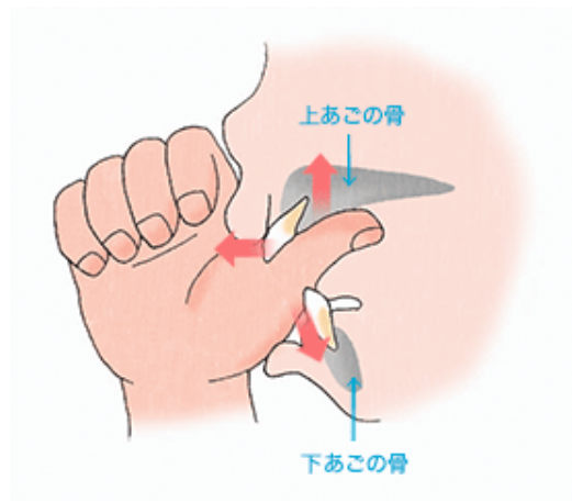 指しゃぶりを続けていると歯並びが悪くなります（オープンバイト・開咬） | アーブル歯科クリニック